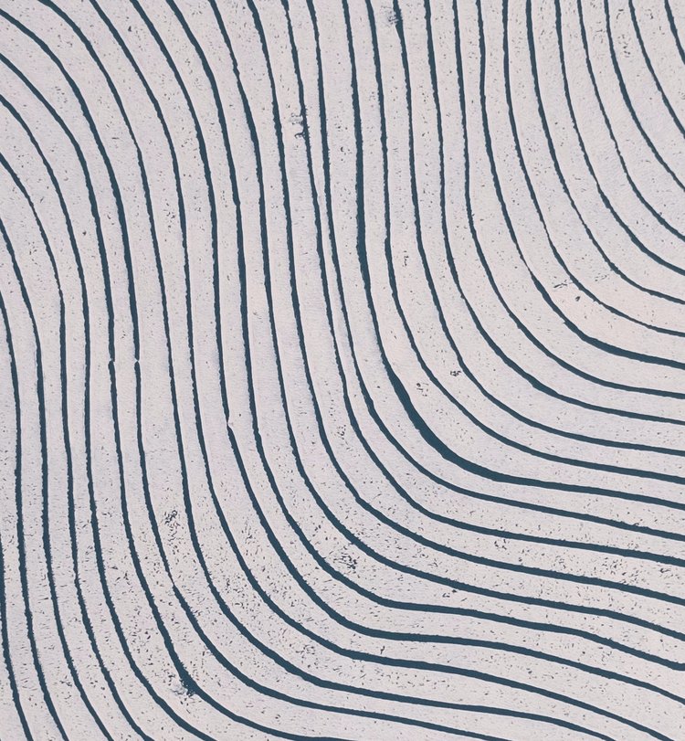 Detail of wallpaper in a curved linear print in navy on a mottled white field.