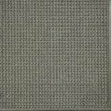 Close-up of a textured woven performance carpet in greige.