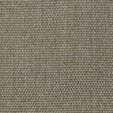 Broadloom carpet swatch textured design in dark grey