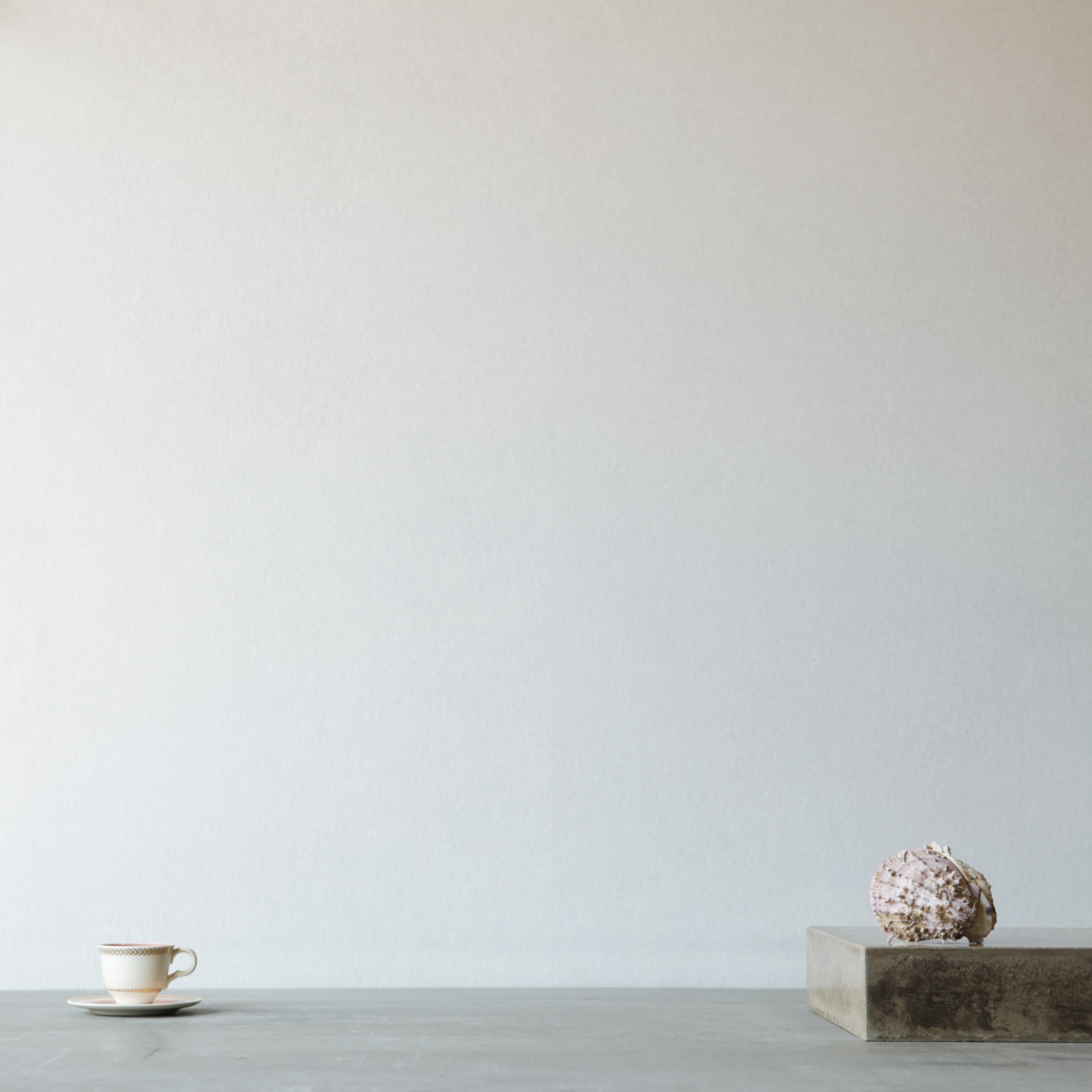 A table with a teacup and shell stands in front of a wall papered in mottled gray-white.