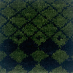 Close up for a handknotted rug in a black lattice design on a green field. 