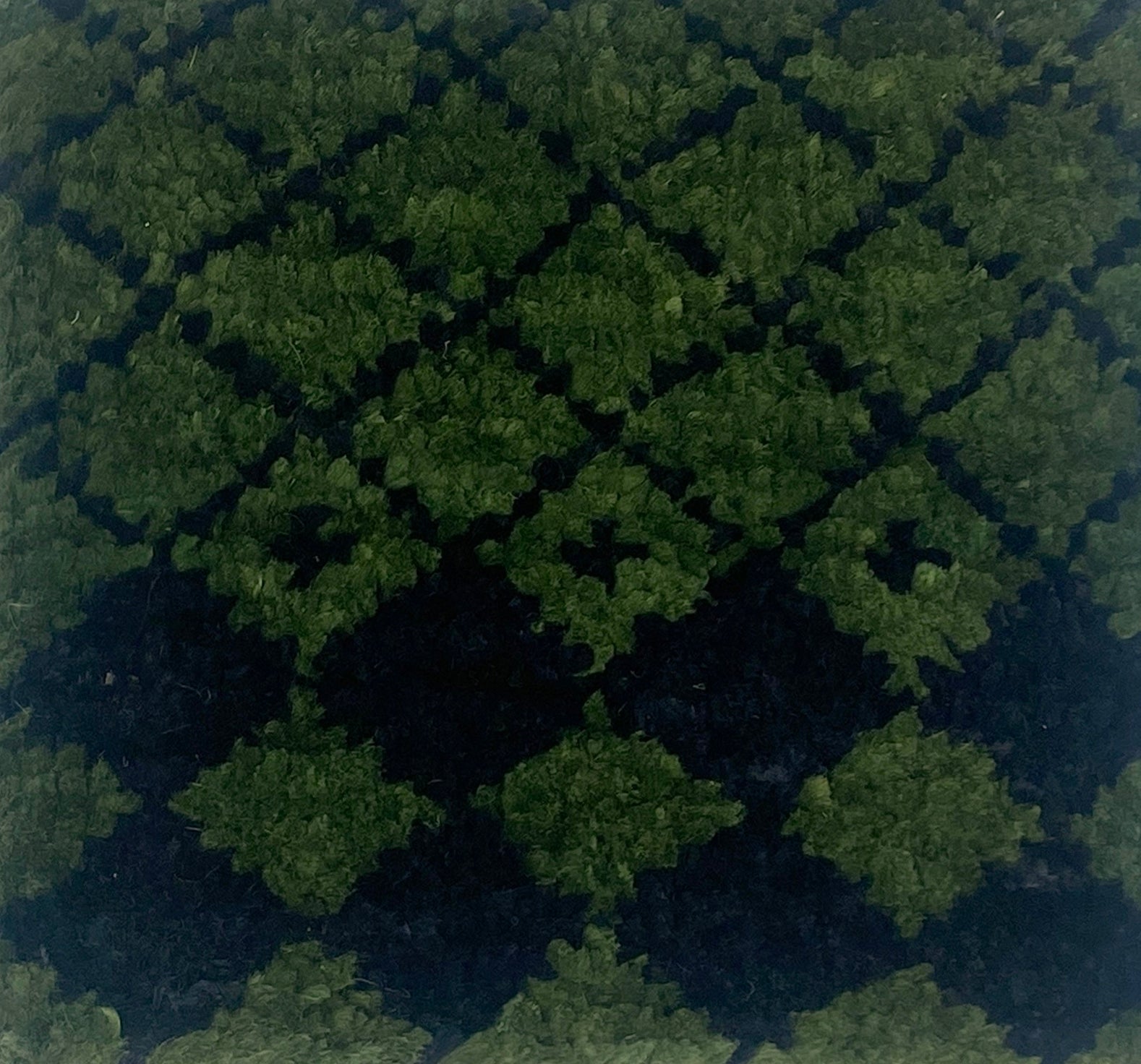 Close up for a handknotted rug in a black lattice design on a green field. 