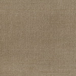 Broadloom carpet solid cut pile in taupe. 