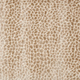 Broadloom carpet swatch textural design in brown