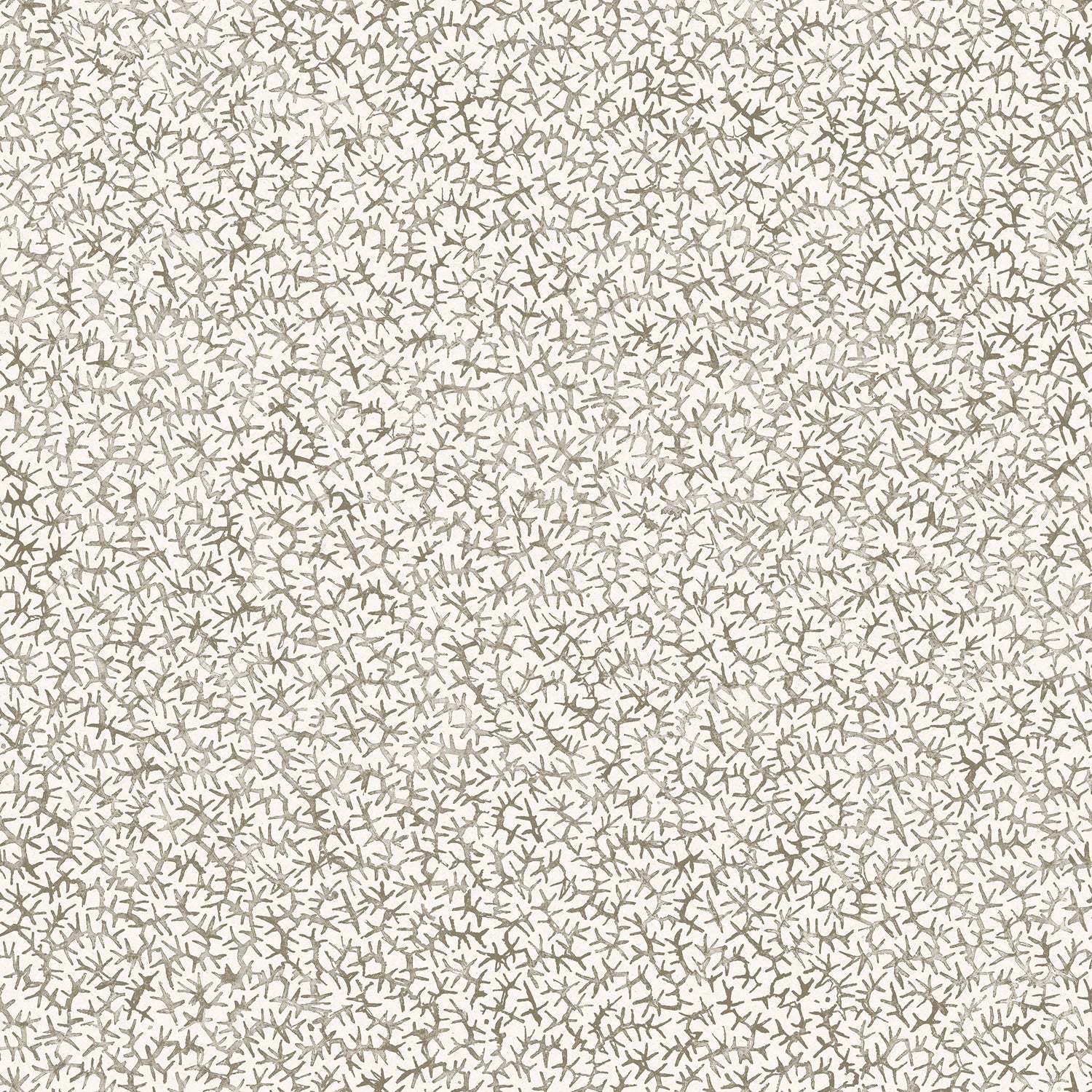 Wallpaper with small scale coral design in grey on white. 