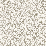 Wallpaper with small scale coral design in grey on white. 