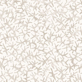 Detail of wallpaper with small scale coral design in soft grey on white. 