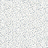 Wallpaper with smallscale coral design in light blue on white. 