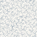 Detail of wallpaper with small scale coral design in light blue on white. 