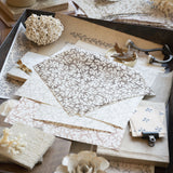 Desk scene with layered swatches of fabrics and natural specimens. 