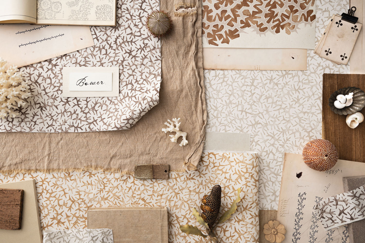 Moodboard image with layered swatches of coral pattern in warm neutral tones and natural specimens. 