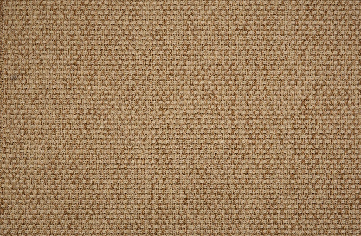Textural performance broadloom carpet in grid design in tan.