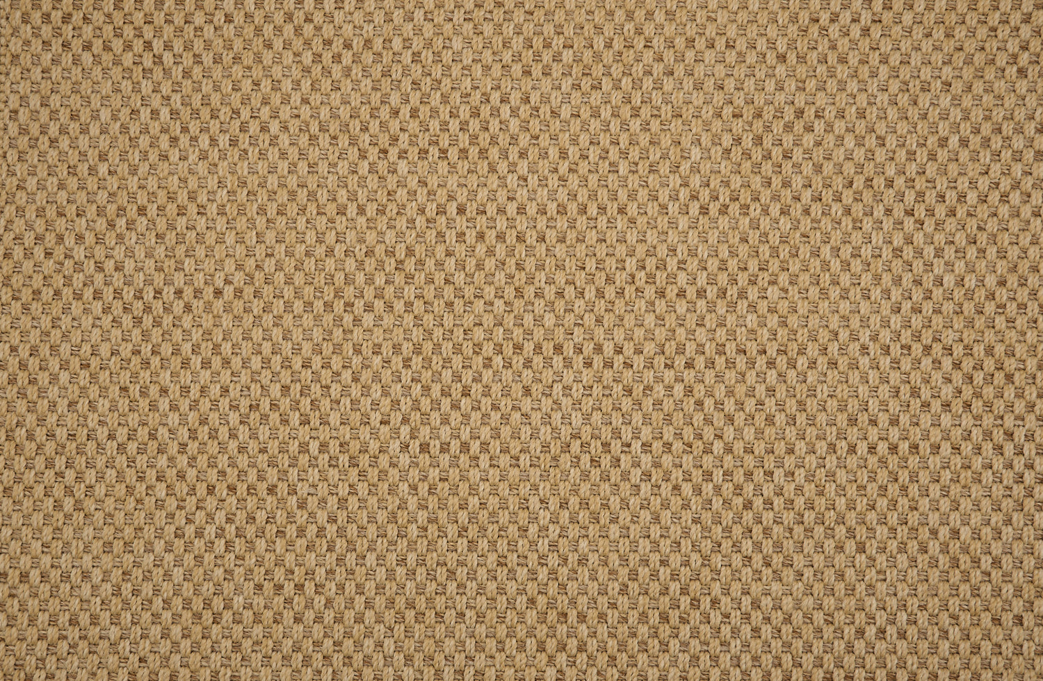 Textural performance broadloom carpet in grid design in taupe.