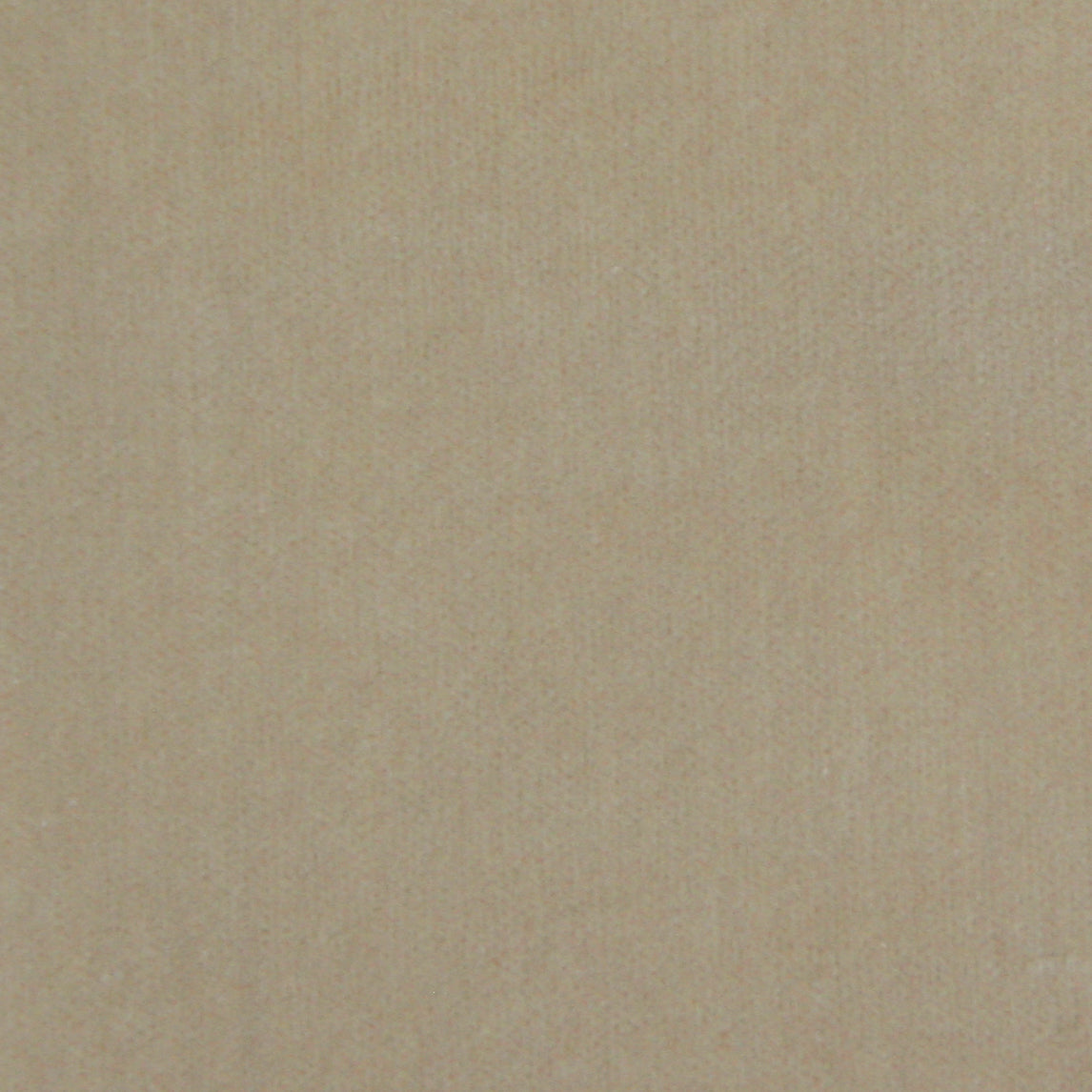 Detail of velvet fabric yardage in cream.