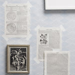 A styled flat-lay of vintage book and dictionary pages taped to a light gray patterned surface, alongside a framed black-and-white botanical print and a blank white frame corner.