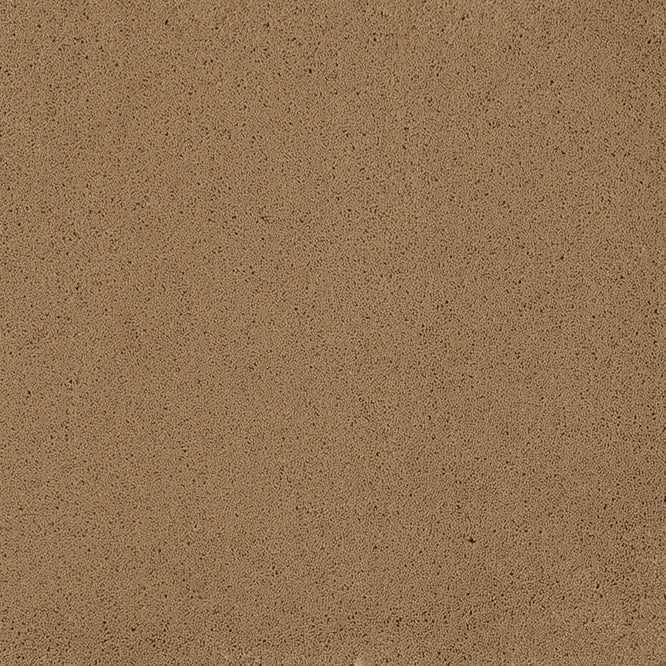 Broadloom carpet swatch solid design in tan