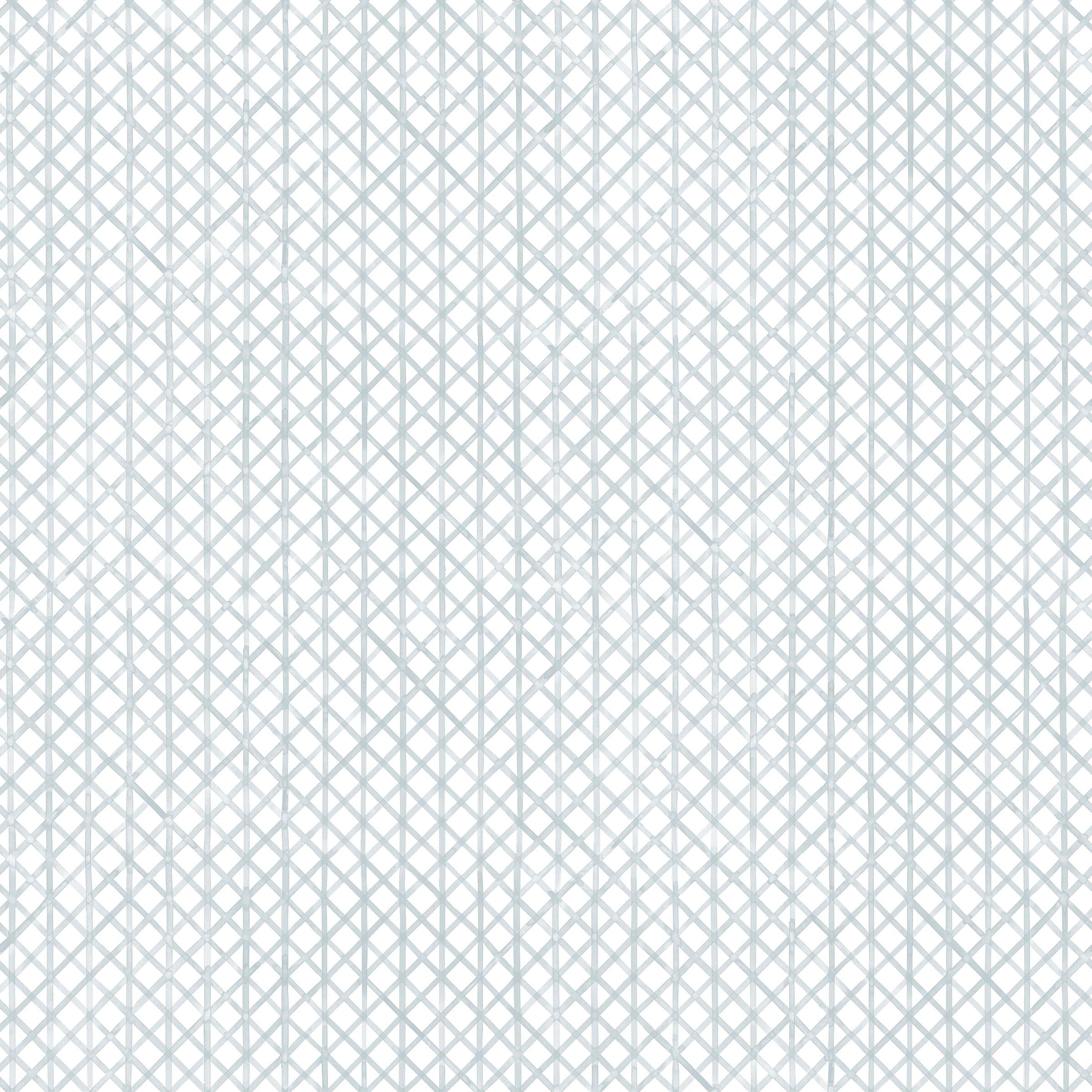 Detail of fabric in an intricate striped grid pattern in light blue on a white field.