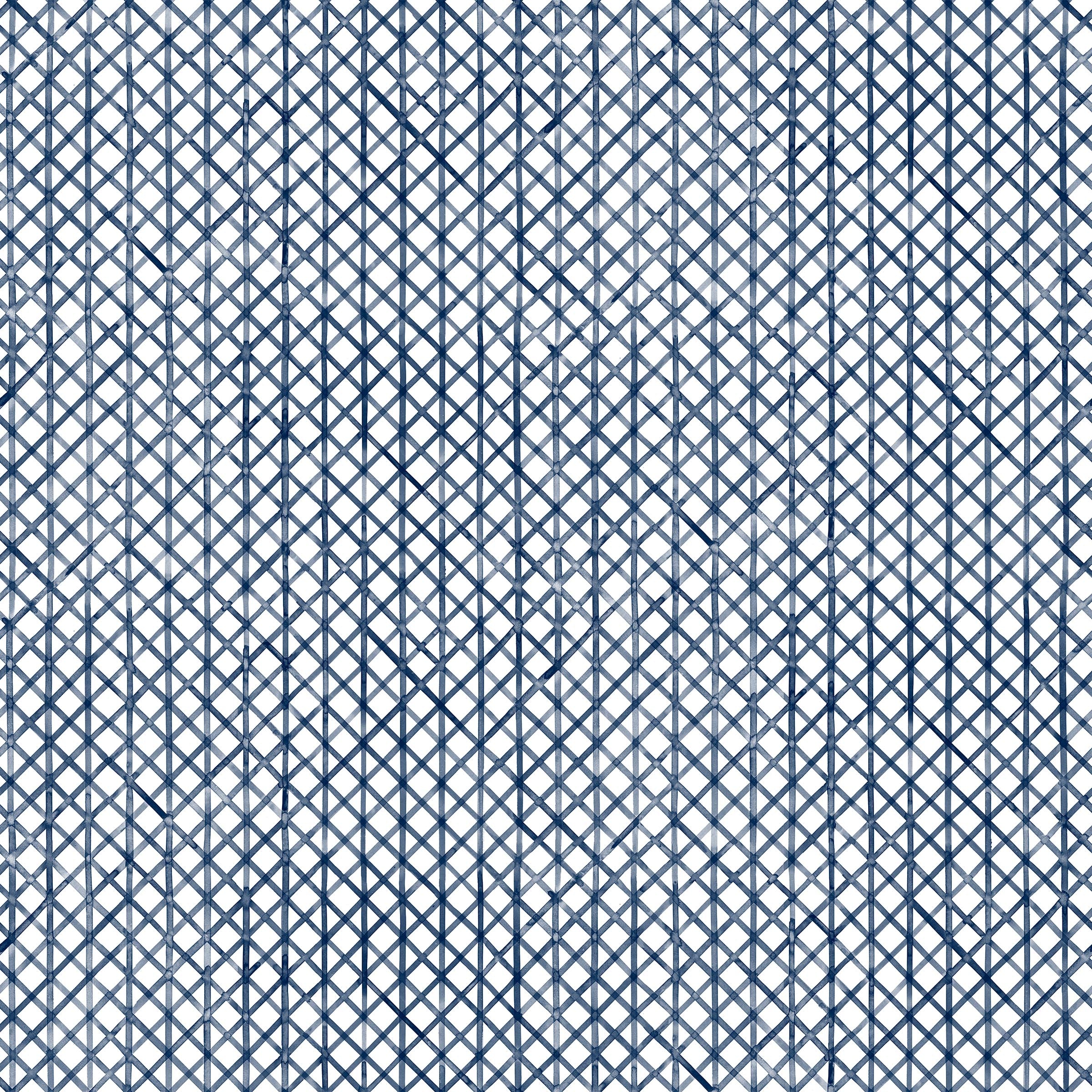 Detail of fabric in an intricate striped grid pattern in navy on a white field.
