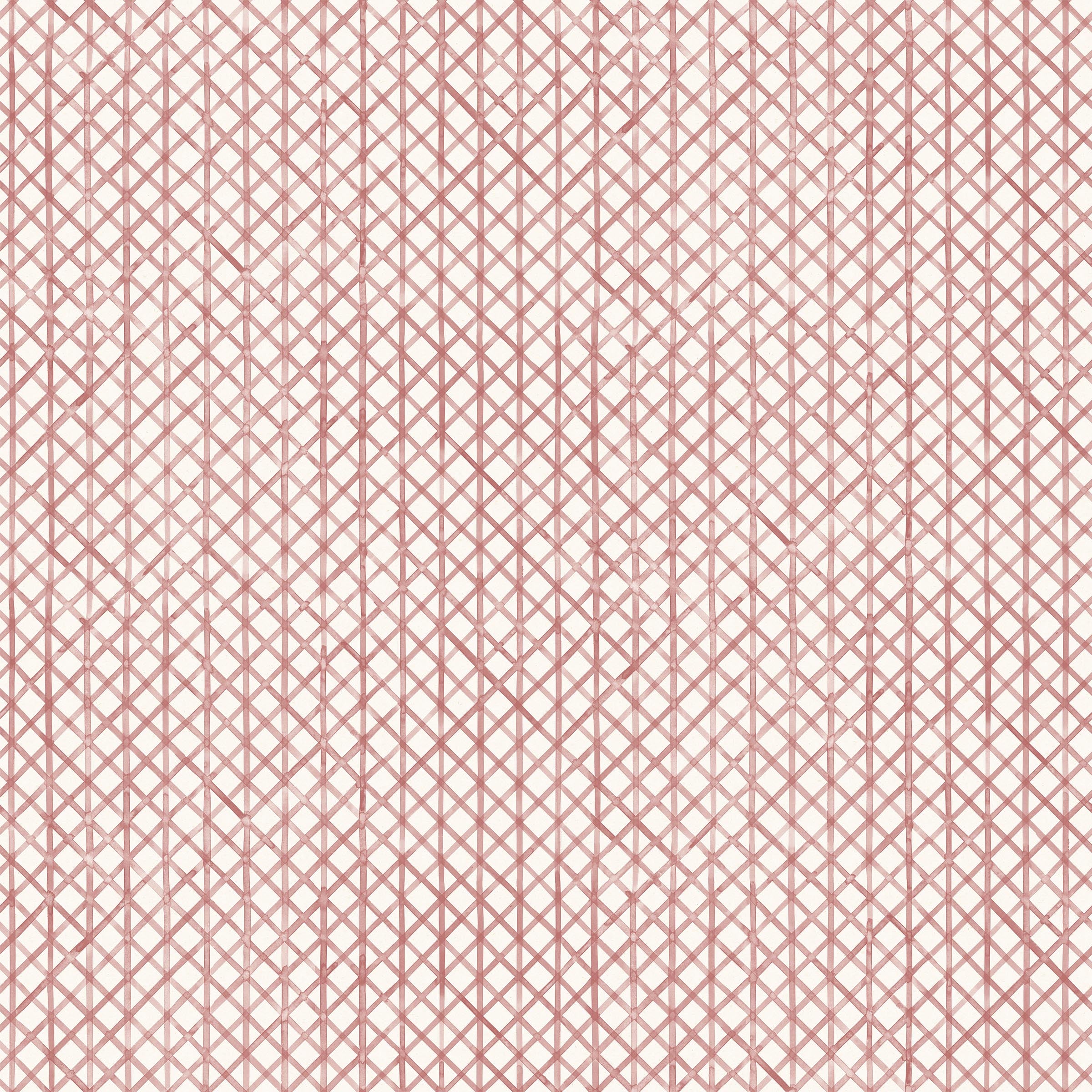 Detail of wallpaper in an intricate striped grid pattern in dusty rose on a white field.
