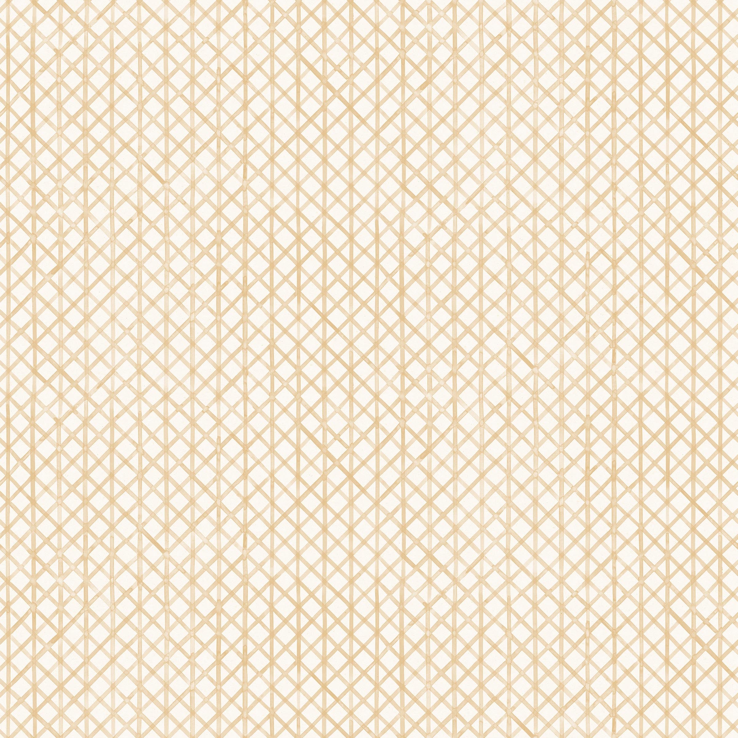 Detail of wallpaper in an intricate striped grid pattern in gold on a white field.