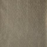 Detail of wallpaper in an abstract textural print in gray on a tan field.