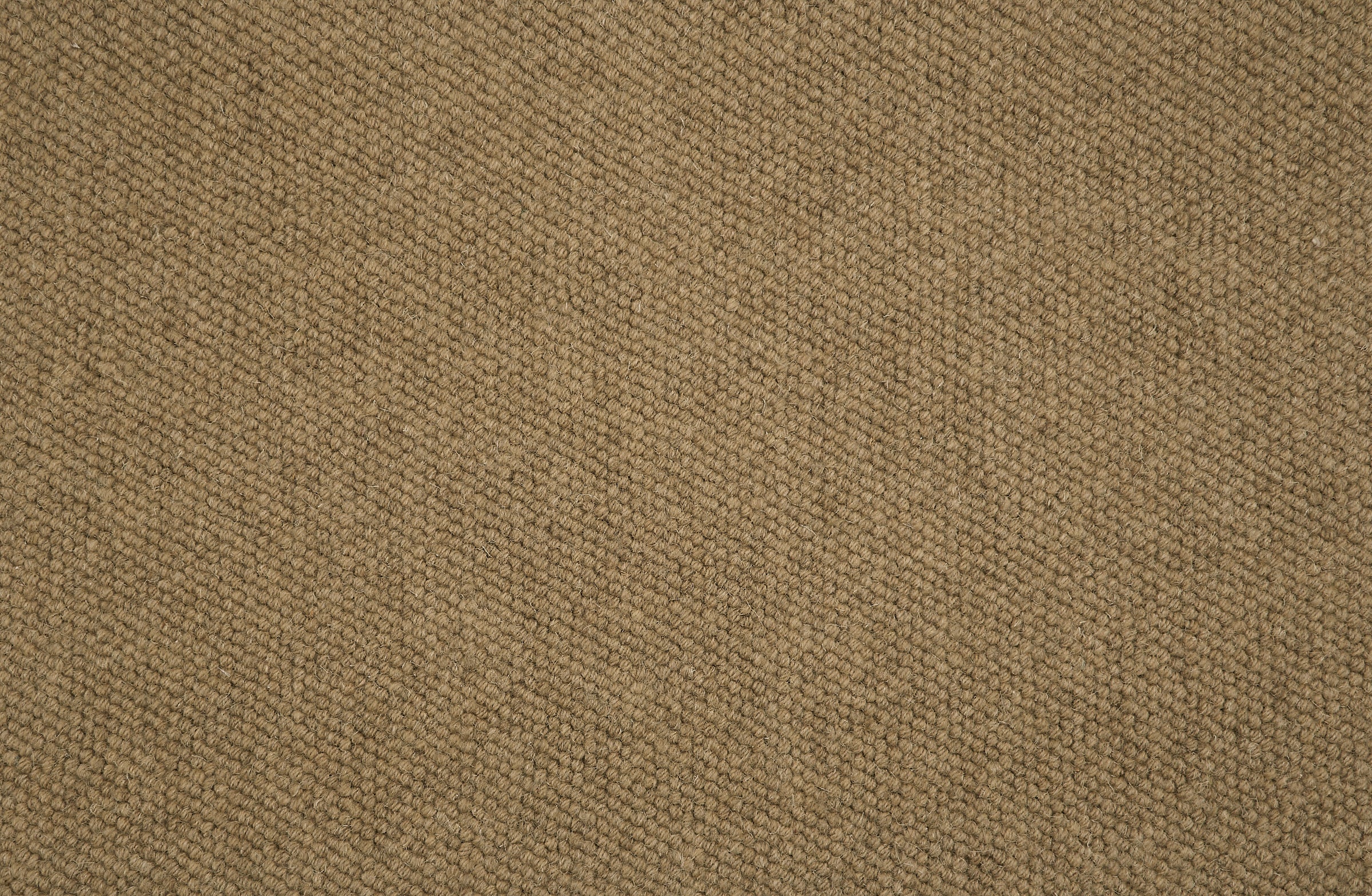 Close-up of loop broadloom carpet in tan.