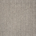 Textural broadloom carpet in grey.