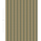 Diagram showing scale of vertical striped wallpaper