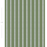Diagram showing scale of vertical striped wallpaper