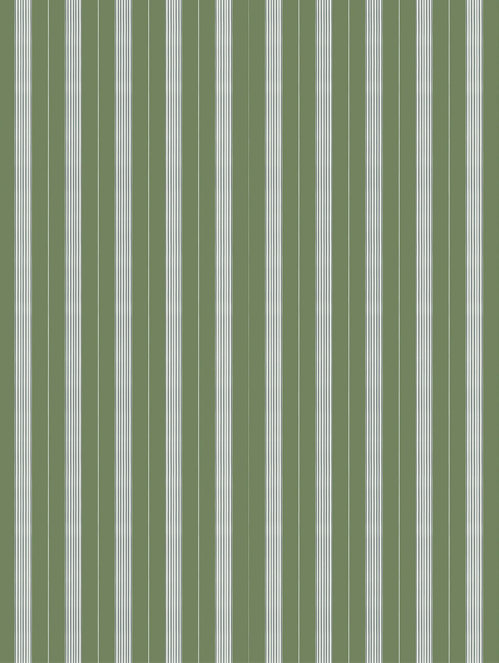 Mixed width striped wallpaper in green and white