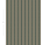 Diagram showing scale of vertical striped wallpaper