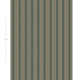 Diagram showing scale of vertical striped wallpaper
