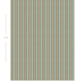 Diagram showing scale of vertical striped wallpaper