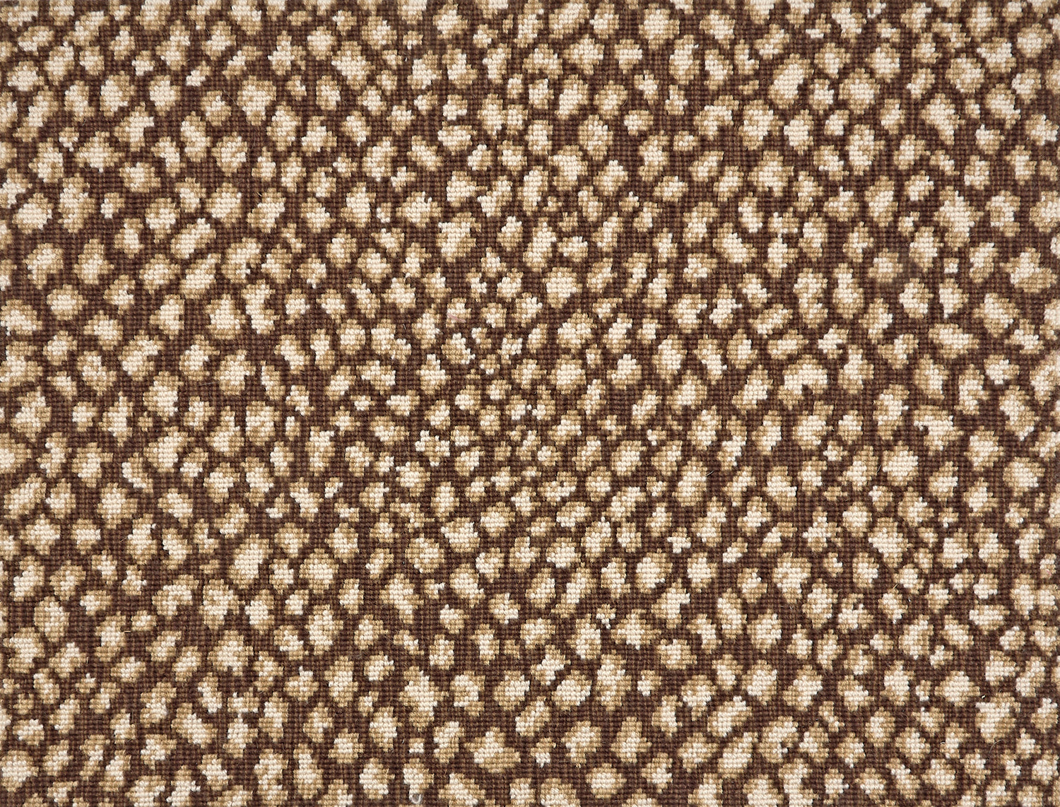 A close-up of a leopard print broadloom in brown and cream spots on a brown background.