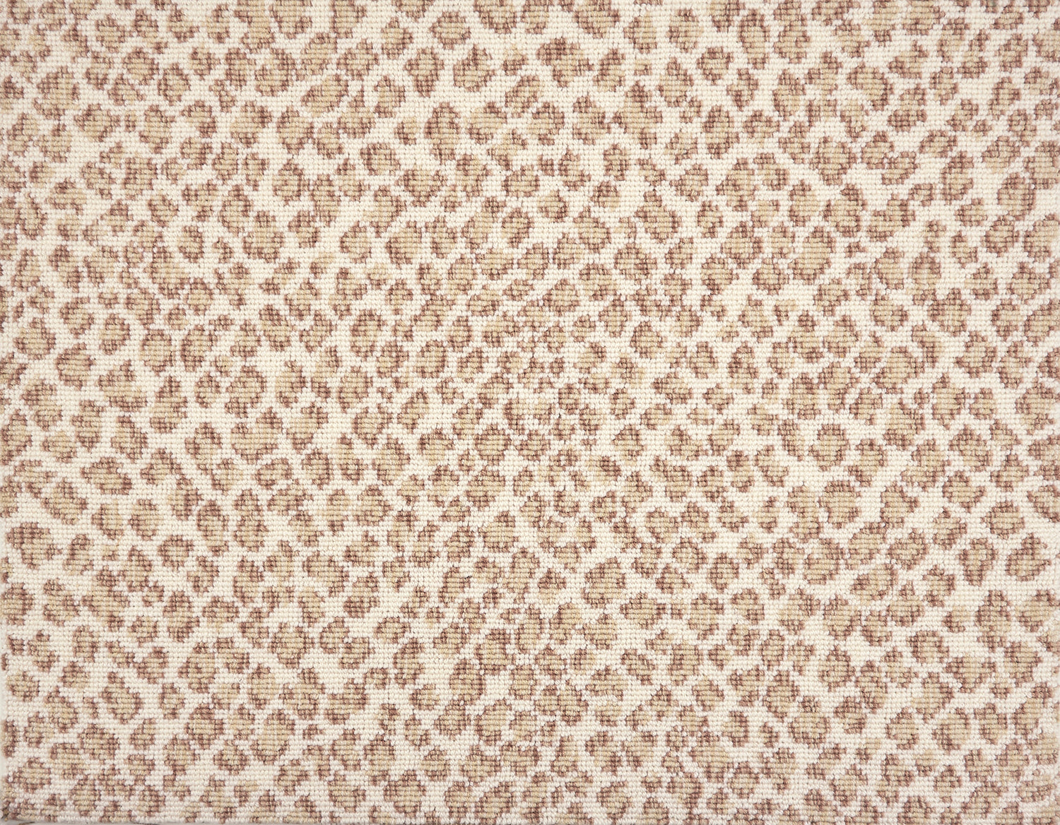 A close-up of a leopard print broadloom in beige and taupe spots on a cream background.