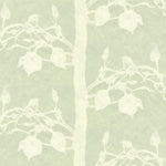 Detail of wallpaper in a linear tree and leaf print in cream on a light green field.