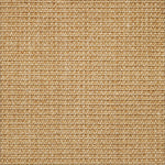 Broadloom carpet in textural woven sisal in warm tan.