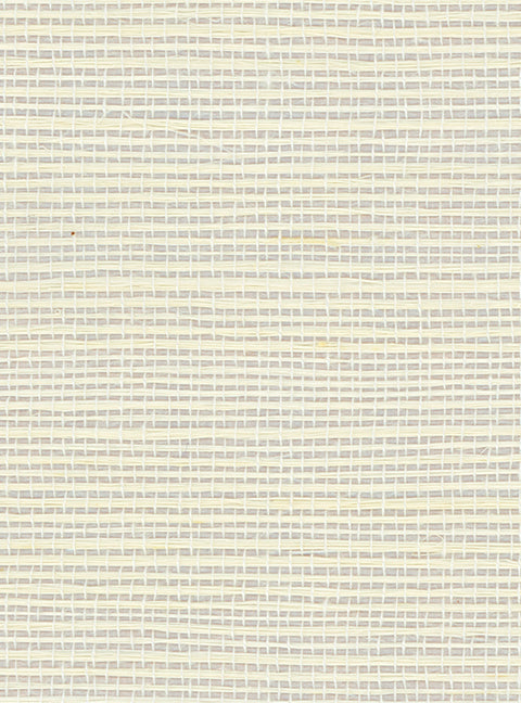 Detail of a sisal grasscloth wallpaper in white on a cream paper backing.