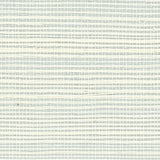 Detail of a sisal grasscloth wallpaper in white on a pale blue paper backing.