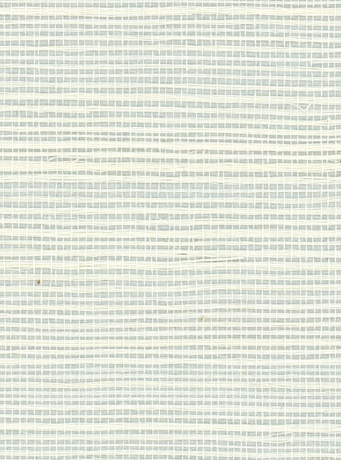 Detail of a sisal grasscloth wallpaper in white on a pale blue paper backing.