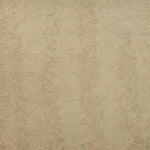 Textured beige carpet with a subtle pattern
