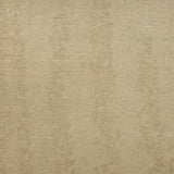 Textured beige carpet with a subtle pattern