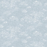 Painterly cloud pattern in white on a pastel blue watercolor field.