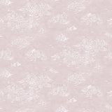 Painterly cloud pattern in white on a pastel pink watercolor field.