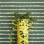 A large potted plant stands in front of a wall papered in an undulating stripe pattern in mustard, white and sage.