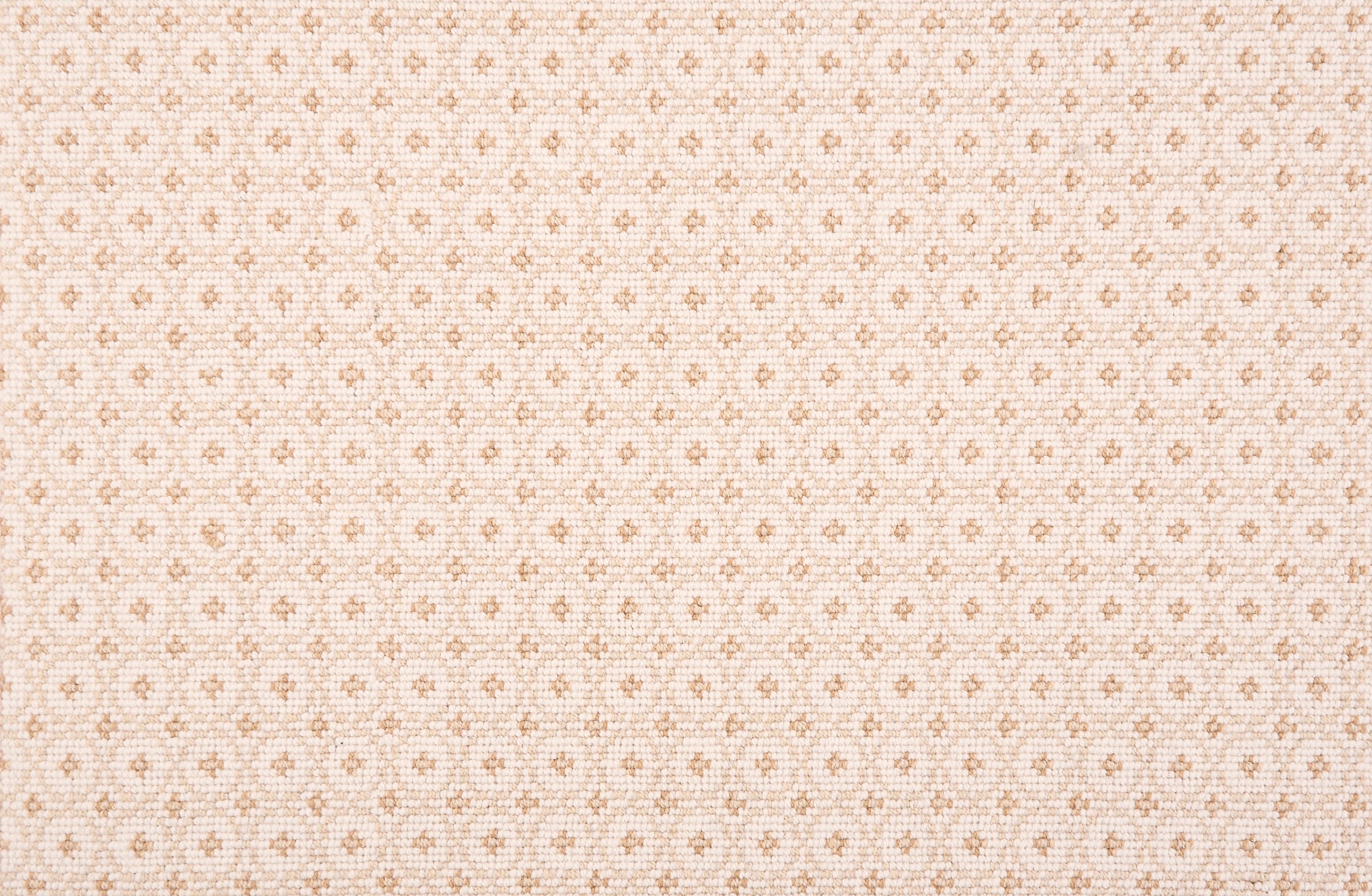 Broadloom carpet in a dense circle lattice with small floral accents in cream a cream field.