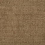 Solid broadloom carpet in taupe. 