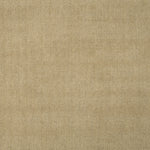 Solid broadloom carpet in ecru.