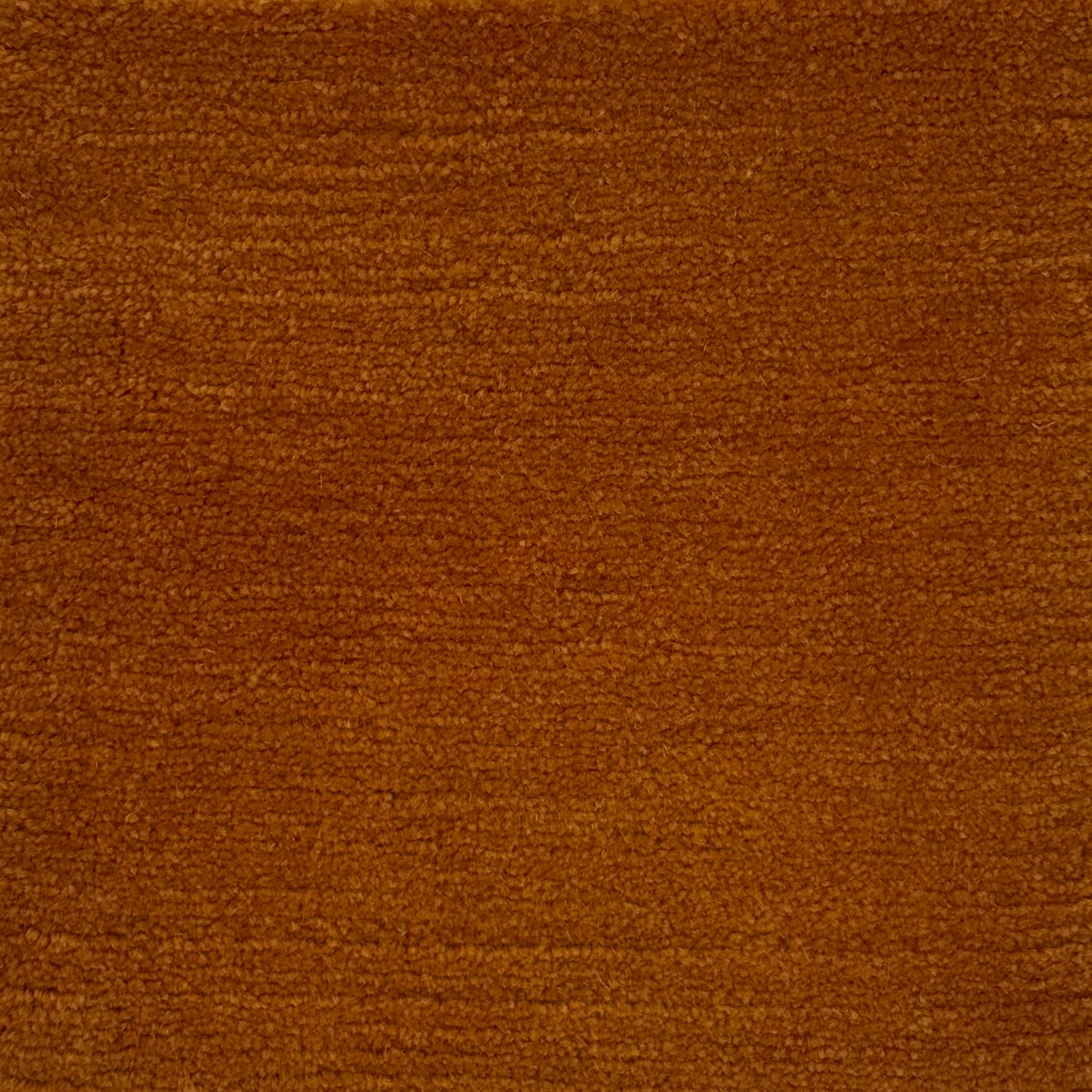 Handknotted rug in pashmina and silk in solid cut pile in warm orange. 