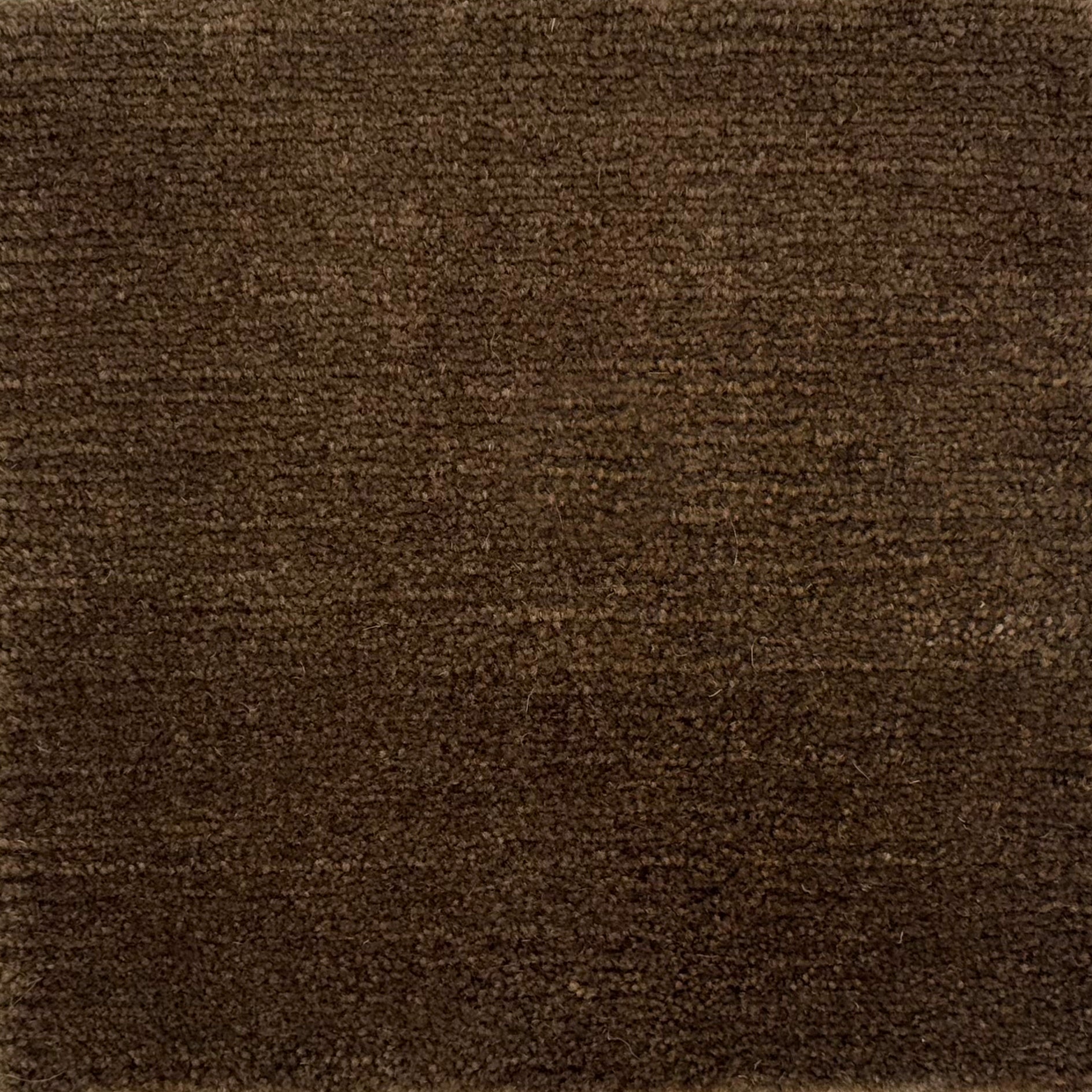 Handknotted rug in wool and merino in solid cut pile in chocolate brown.